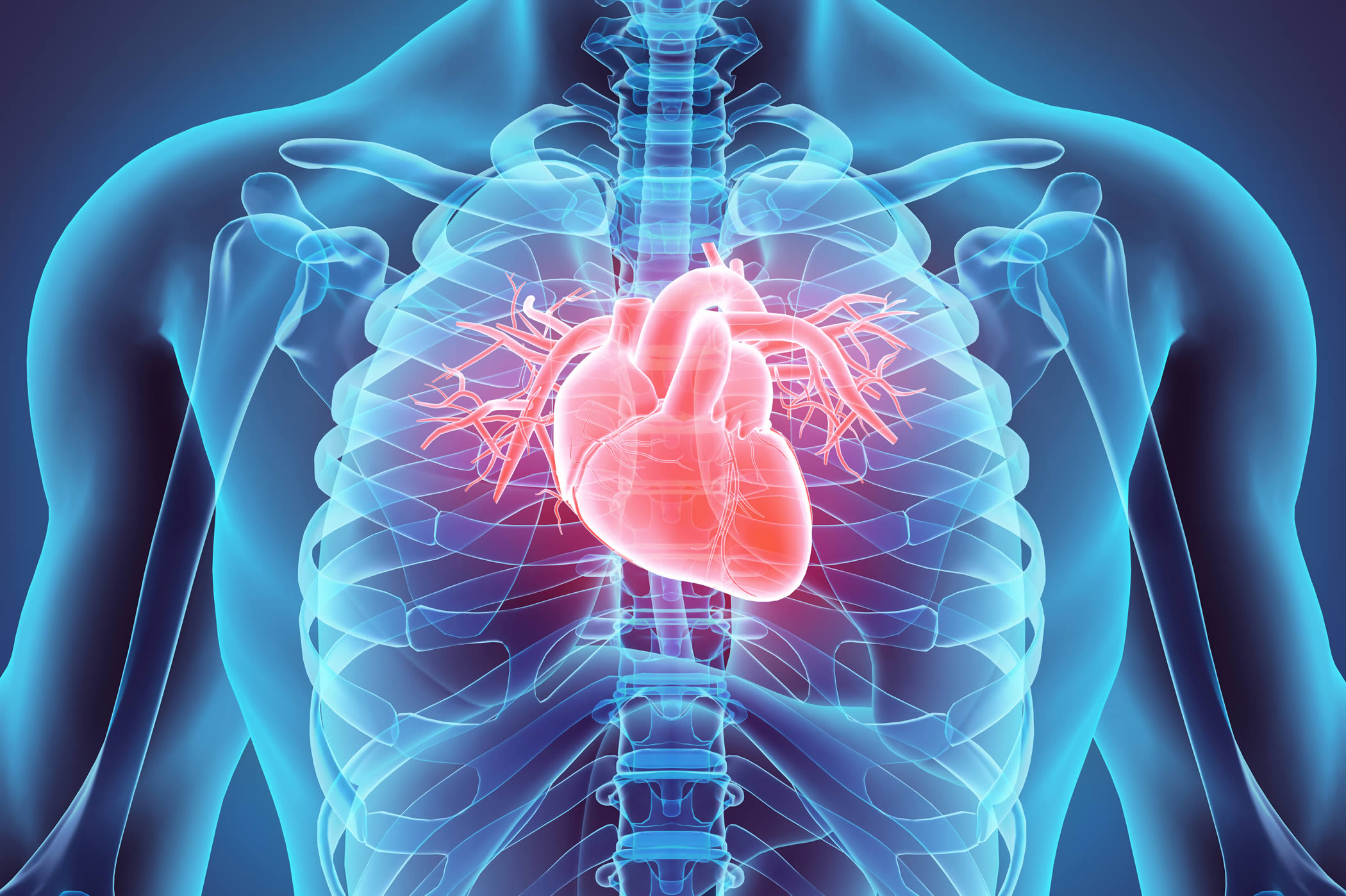 Myocardial Perfusion Imaging Mpi Test Mic Medical Imaging